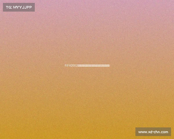 FIFA2002世界杯时间回顾与经典赛程全景解析激情瞬间再现